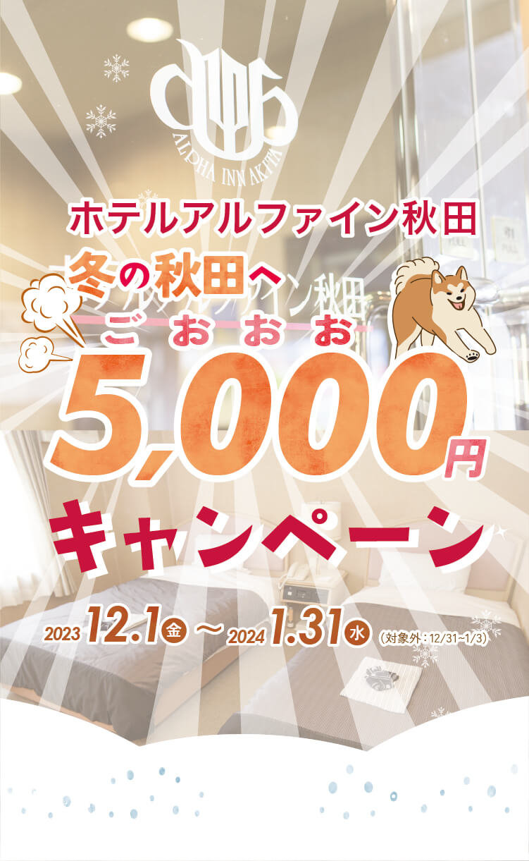ホテルアルファイン・デラックスツイン